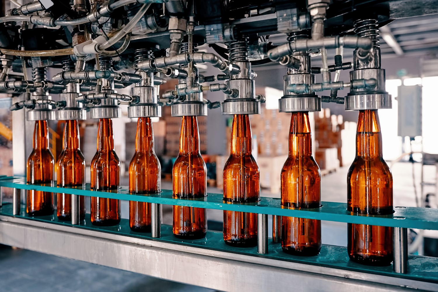 Beer bottles being filled on a production line